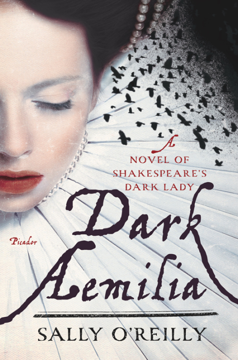Cover image for book Dark Aemilia