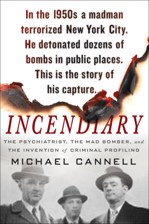 Cover image for book Incendiary