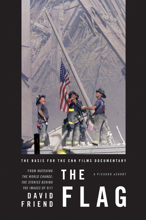 Cover image for book The Flag