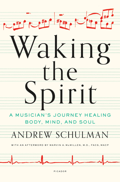 Cover image for book Waking the Spirit