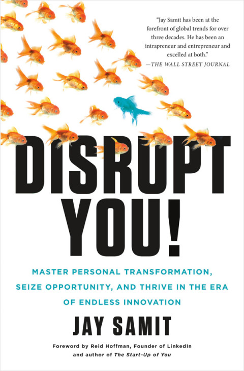 Cover image for book Disrupt You!