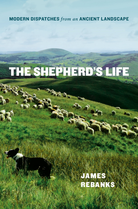 Cover image for book The Shepherd's Life