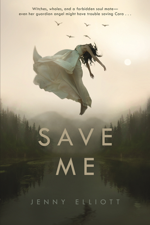 Cover image for book Save Me