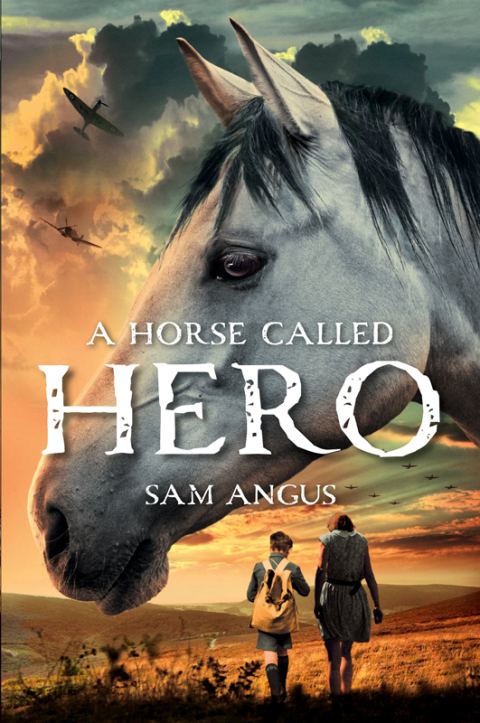 Cover image for book A Horse Called Hero