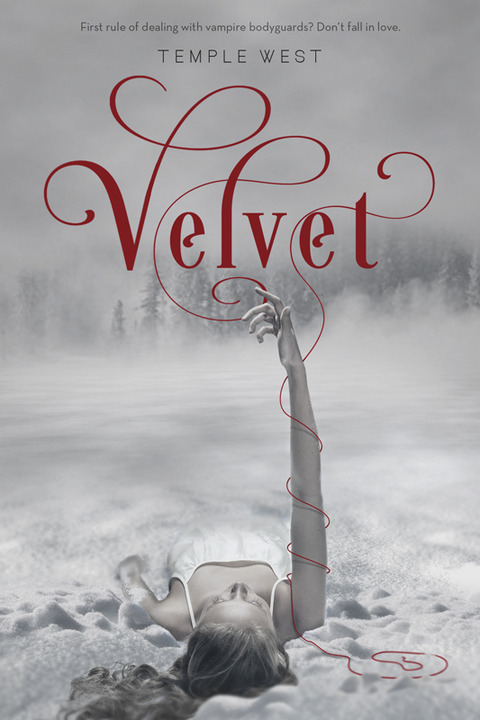 Cover image for book Velvet