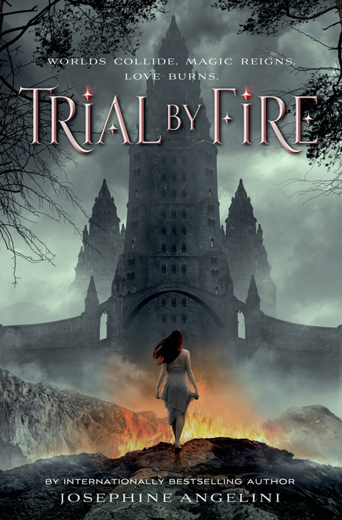 Cover image for book Trial by Fire