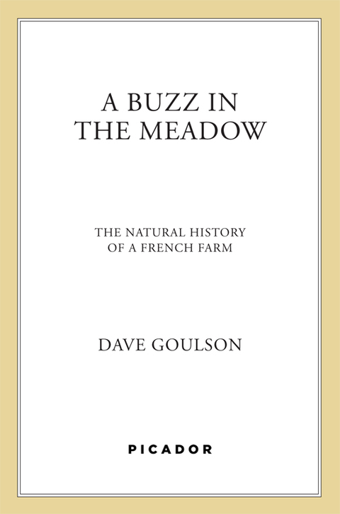 Cover image for book A Buzz in the Meadow