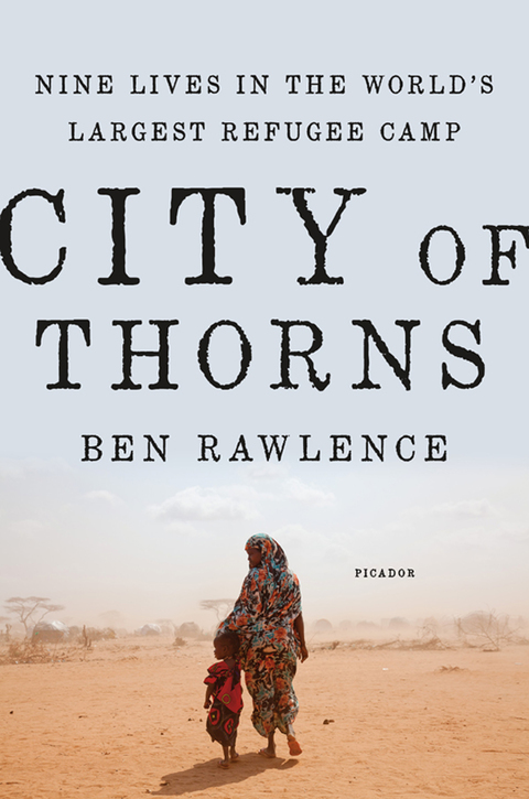Cover image for book City of Thorns