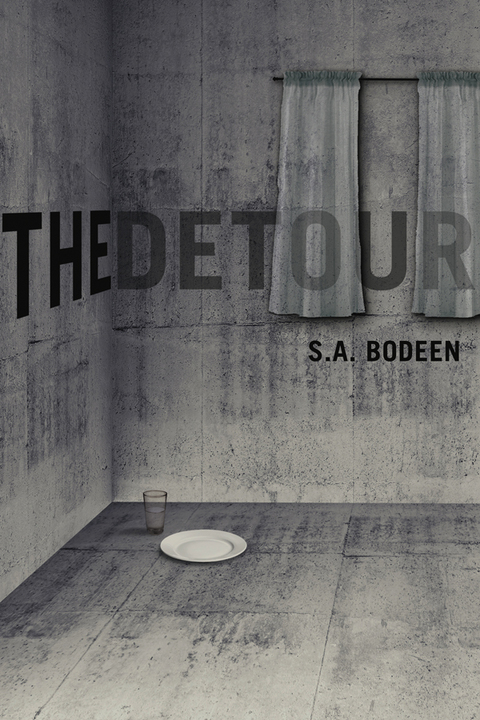Cover image for book The Detour