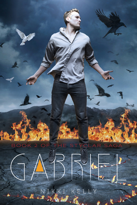 Cover image for book Gabriel
