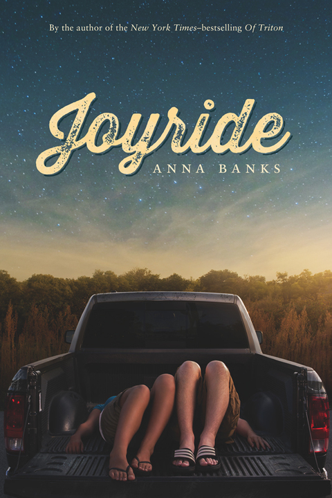 Cover image for book Joyride