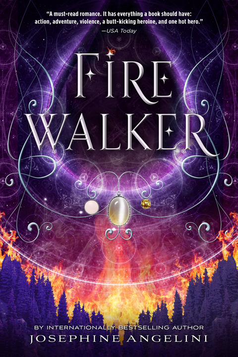 Cover image for book Firewalker