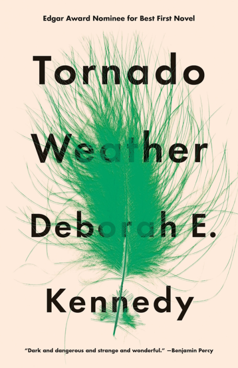 Cover image for book Tornado Weather