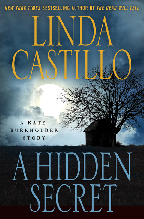 Cover image for book A Hidden Secret