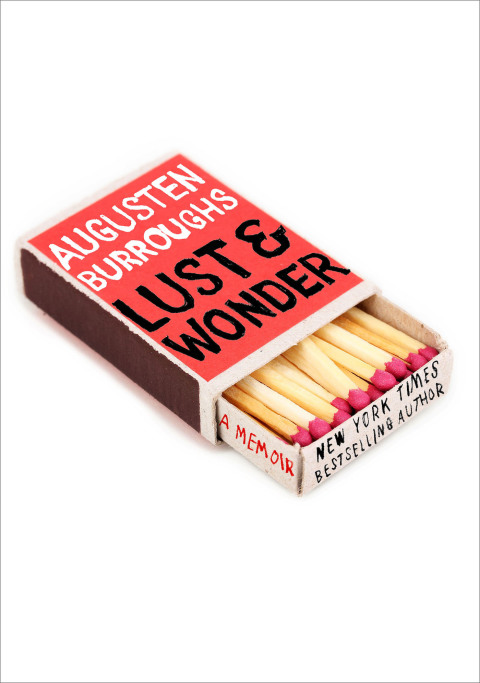 Cover image for book Lust & Wonder