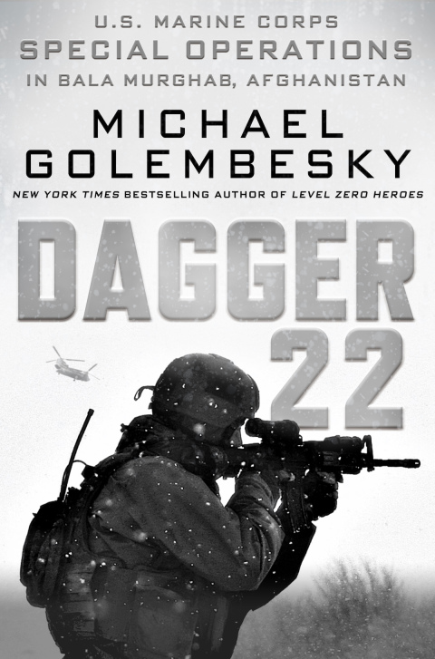 Cover image for book Dagger 22