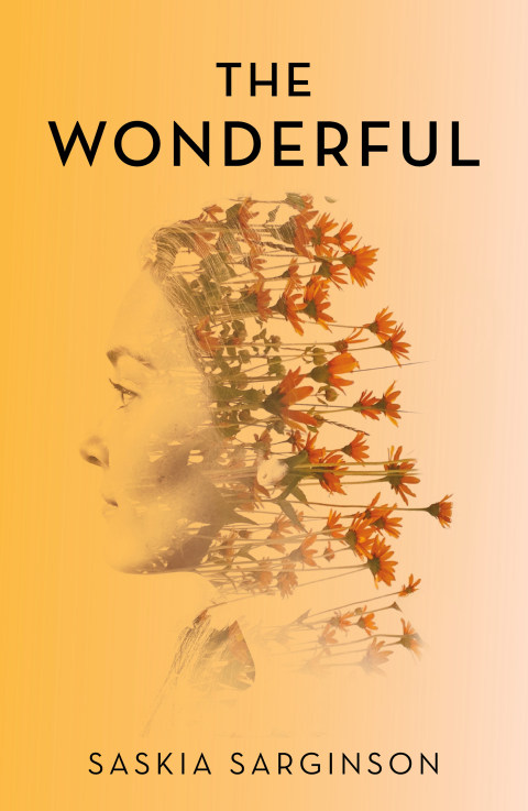 Cover image for book The Wonderful