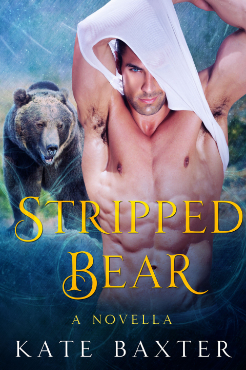 Cover image for book Stripped Bear