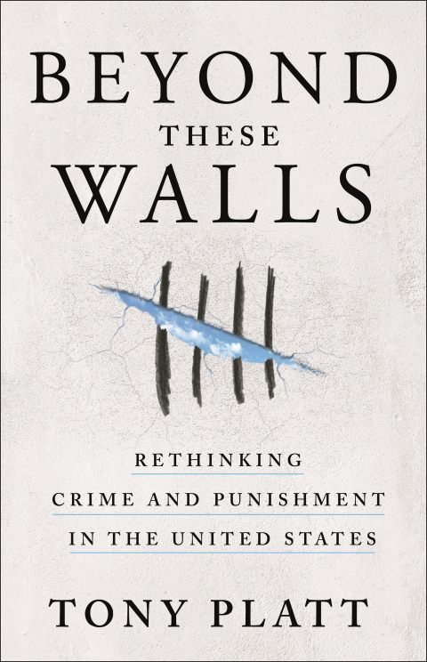 Cover image for book Beyond These Walls