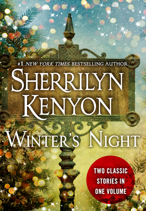 Cover image for book Winter's Night