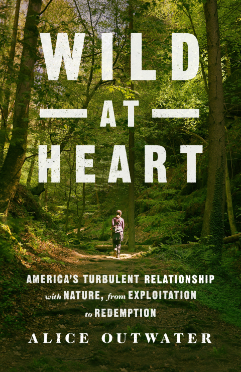 Cover image for book Wild at Heart