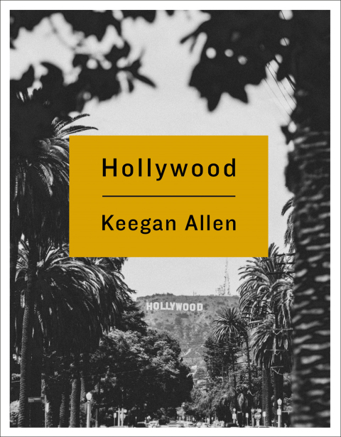 Cover image for book Hollywood