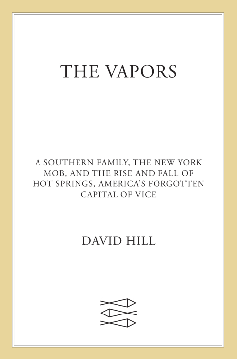 Cover image for book The Vapors