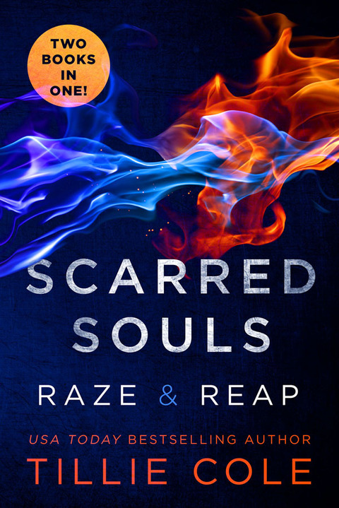 Cover image for book Scarred Souls: Raze & Reap