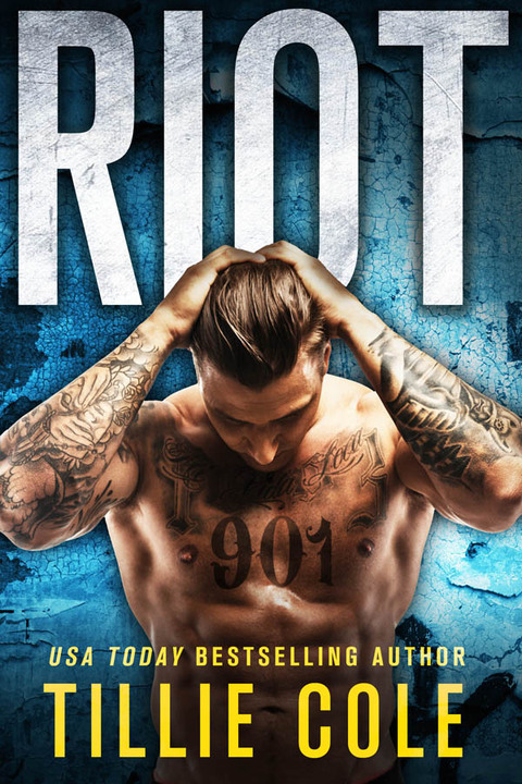 Cover image for book Riot