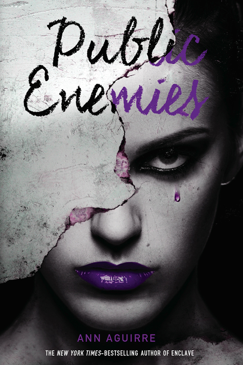Cover image for book Public Enemies