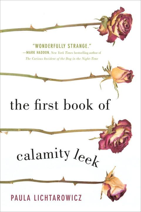 Cover image for book The First Book of Calamity Leek