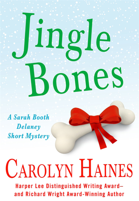 Cover image for book Jingle Bones