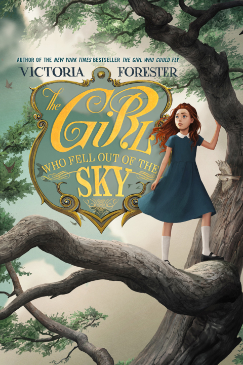 Cover image for book The Girl Who Fell Out of the Sky