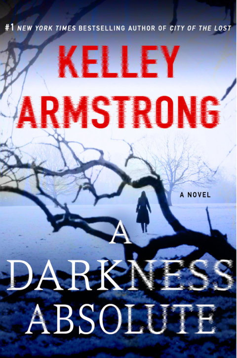 Cover image for book A Darkness Absolute