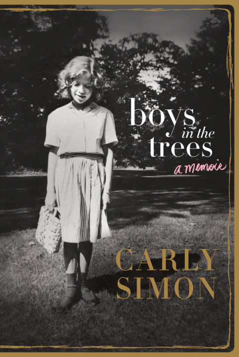 Cover image for book Boys in the Trees