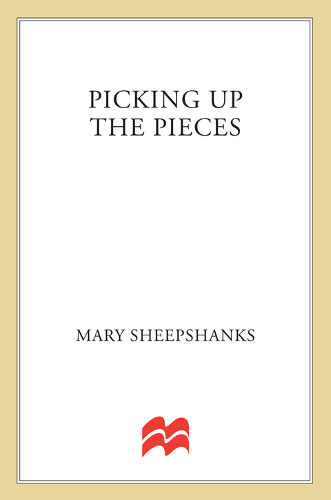 Cover image for book Picking Up the Pieces