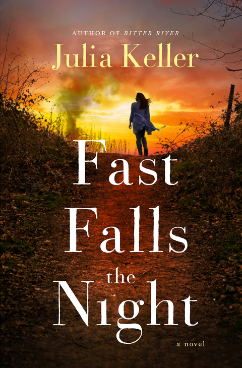 Cover image for book Fast Falls the Night