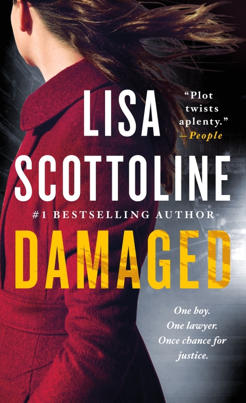 Cover image for book Damaged