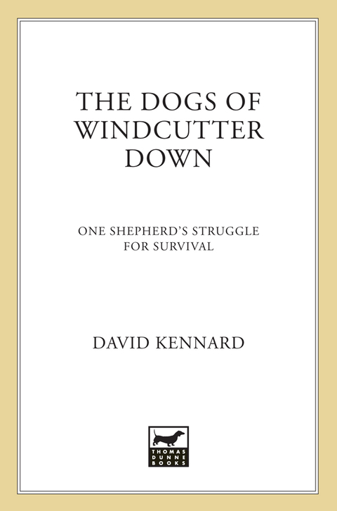 Cover image for book The Dogs of Windcutter Down