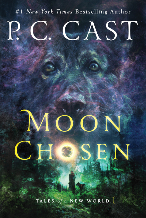 Cover image for book Moon Chosen