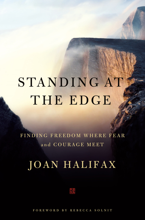 Cover image for book Standing at the Edge