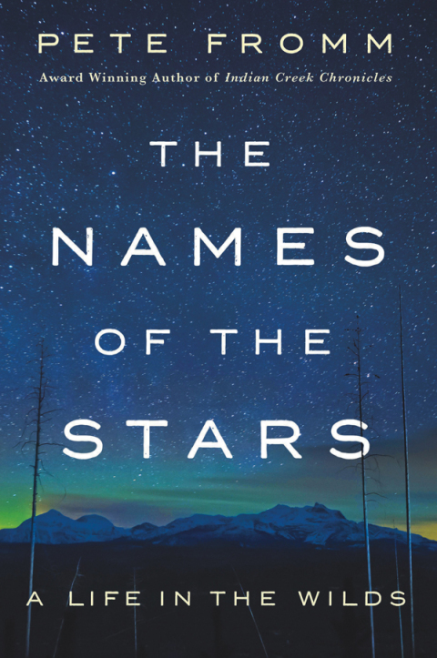 Cover image for book The Names of the Stars