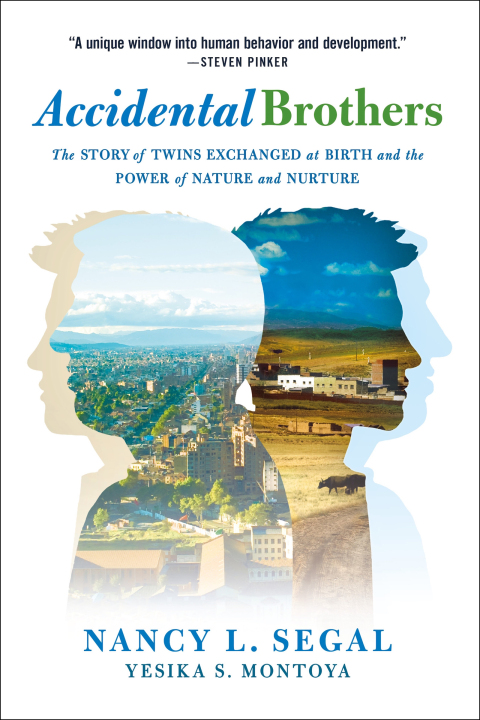 Cover image for book Accidental Brothers