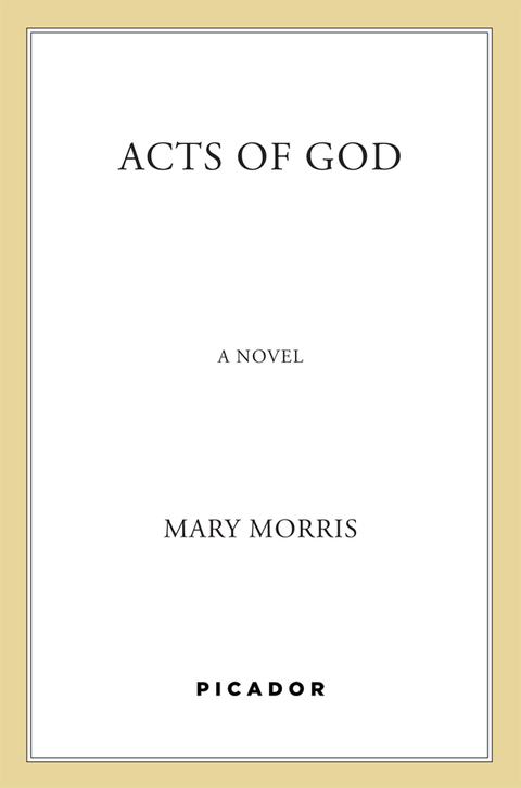 Cover image for book Acts of God