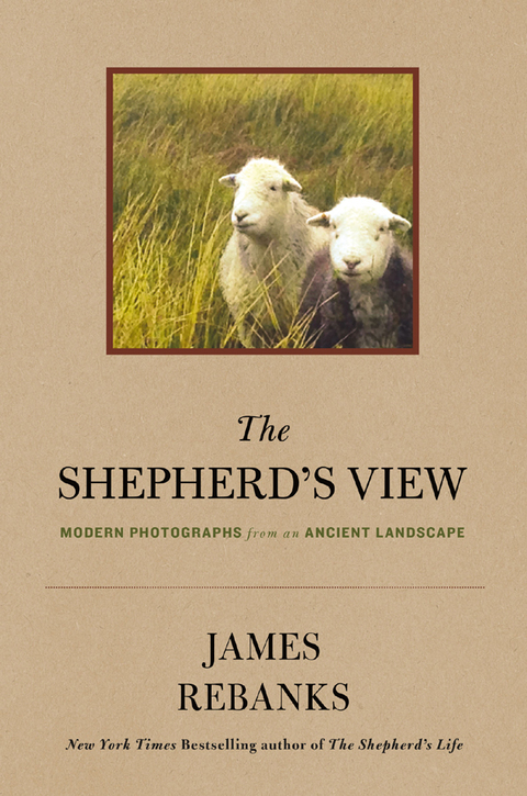 Cover image for book The Shepherd's View