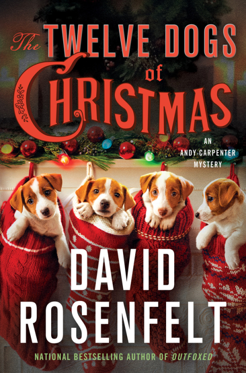 Cover image for book The Twelve Dogs of Christmas