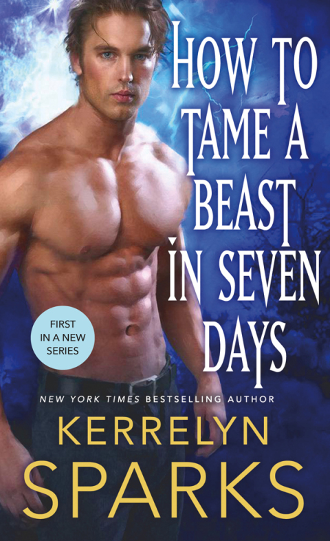 Cover image for book How to Tame a Beast in Seven Days