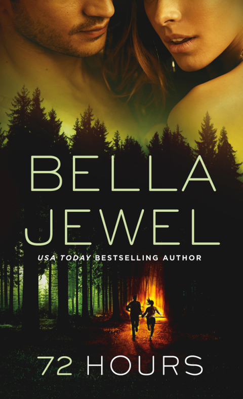Cover image for book 72 Hours