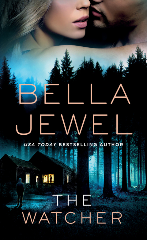 Cover image for book The Watcher