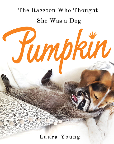 Cover image for book Pumpkin: The Raccoon Who Thought She Was a Dog